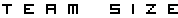 Team size
